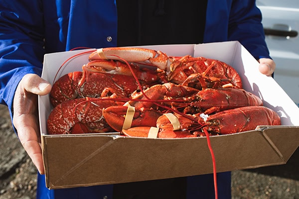 The Boathouse Fisheries team preparing fresh seafood at the counter